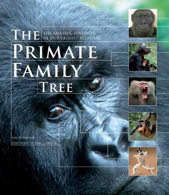Primate Family Tree - Ian Redmond
