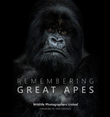 Remembering Great Apes - Margot Raggert