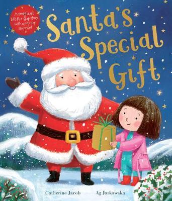 Santa's Special Gift - Catherine Jacobs