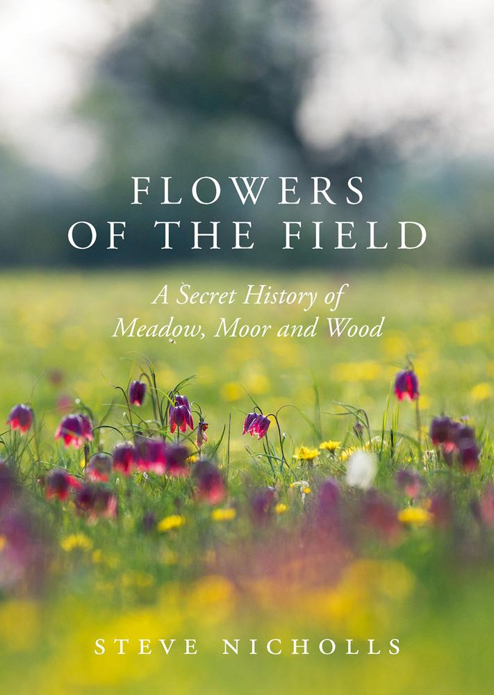Flowers of the Field - Steve Nicholls