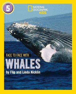 Face to Face with Whales - Flip Nicklin