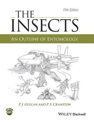 Insects - P J Gullan