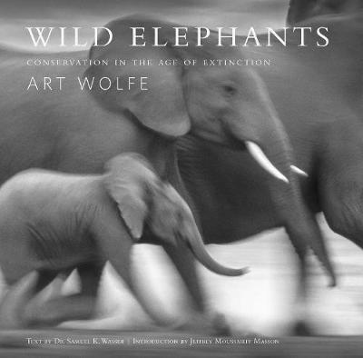 Wild Elephants - Samuel Wasser