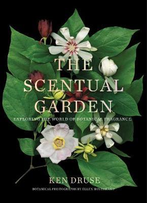 Scentual Garden: Exploring the World of Botanical Fragrance - Ken Druse