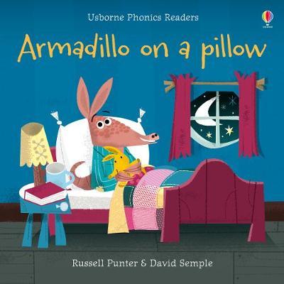 Armadillo on a Pillow - Russell Punter