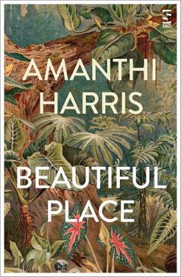 Beautiful Place - Amanthi Harris