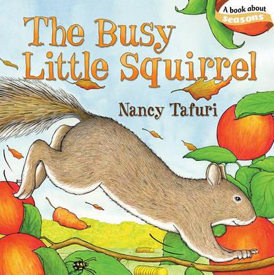 Busy Little Squirrel -  