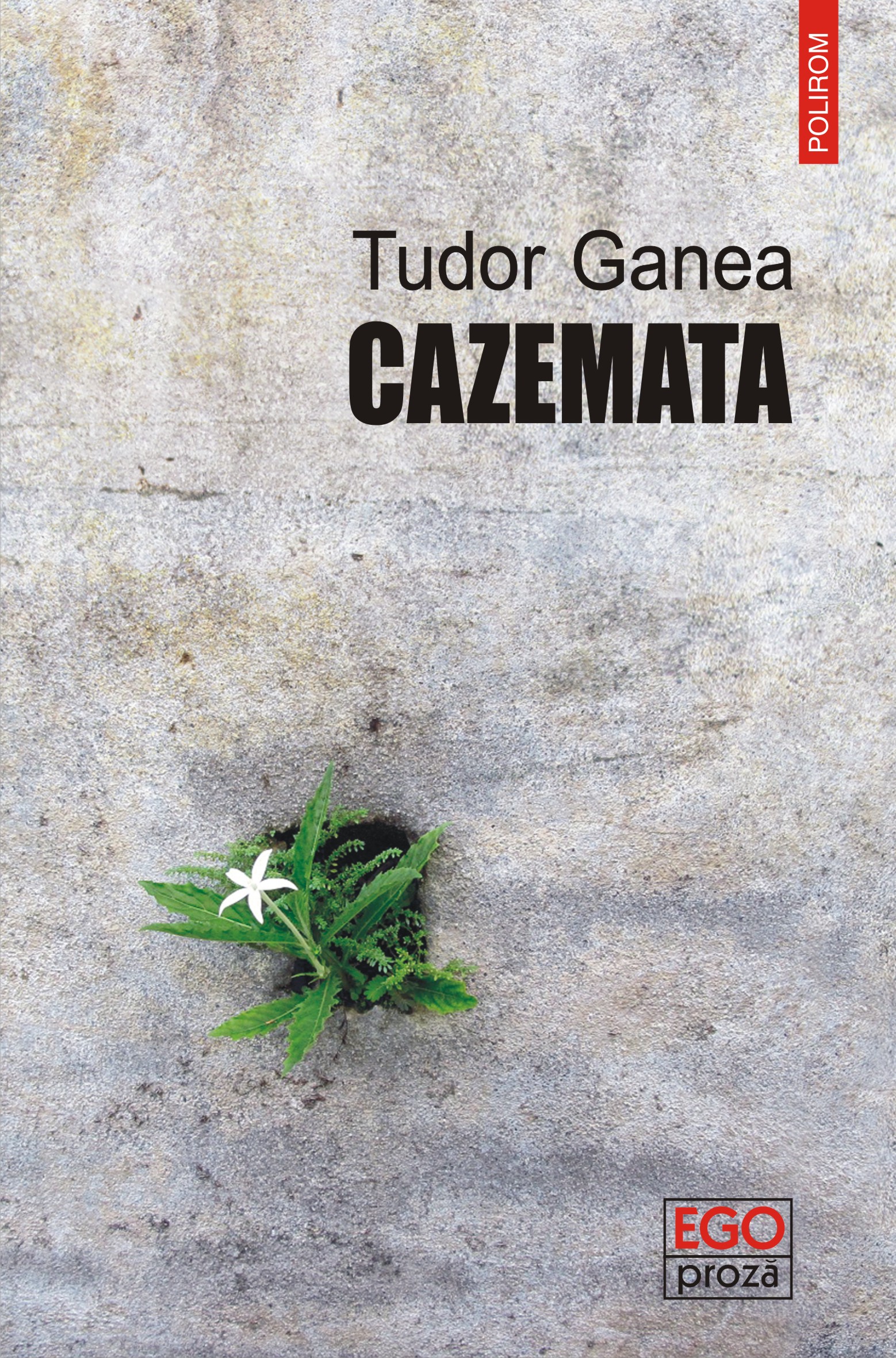eBook Cazemata - Tudor Ganea