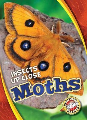 Moths - Patrick Perish