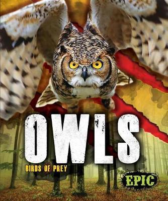 Owls - Nathan Sommer