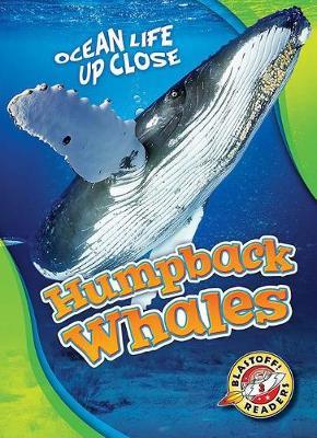 Humpback Whales - Christina Leaf
