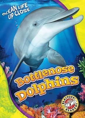 Bottlenose Dolphins - Kari Schuetz