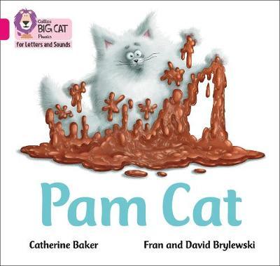 Pam Cat - Catherine Baker