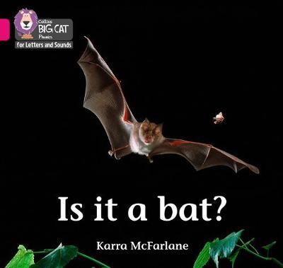 Is it a Bat? - Karra McFarlane