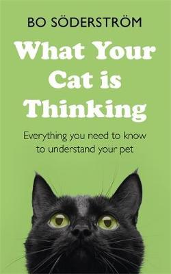 What Your Cat Is Thinking - Bo Soderstrom
