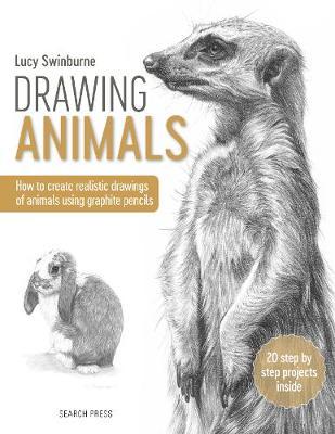 Drawing Animals - Lucy Swinburne