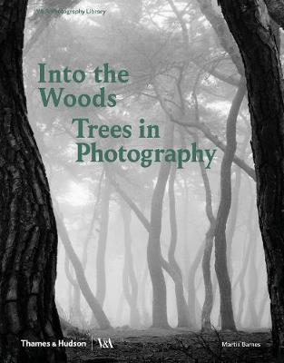 Into the Woods: Trees in Photography - Martin Barnes