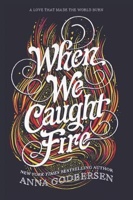 When We Caught Fire - Anna Godbersen