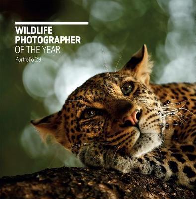 Wildlife Photographer of the Year: Portfolio 29 -  