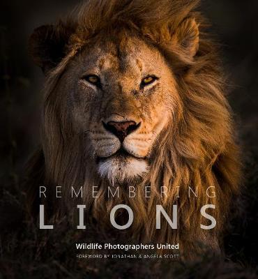 Remembering Lions -  