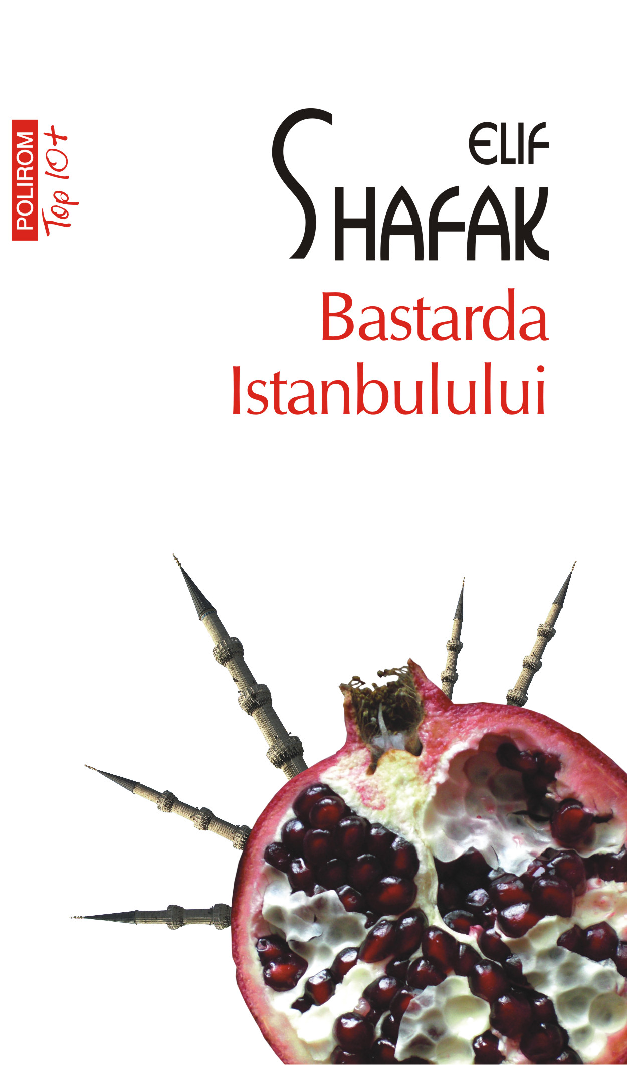 eBook Bastarda Istanbulului - Elif Shafak