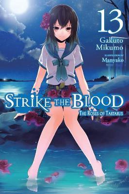 Strike the Blood, Vol. 13 (light novel) - Gakuto Mikumo