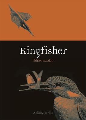 Kingfisher - Ildiko Szabo