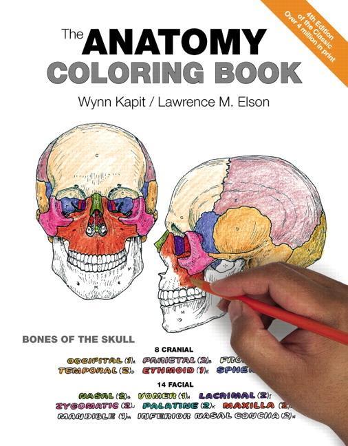 Anatomy Coloring Book - Wynn Kapit