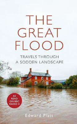 Great Flood - Edward Platt