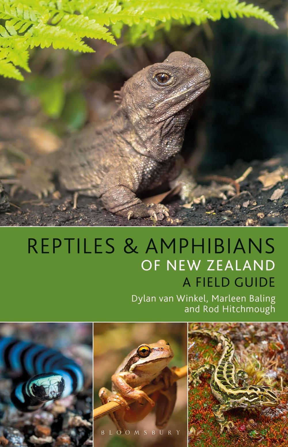 Reptiles and Amphibians of New Zealand - Dylan Van Winkel