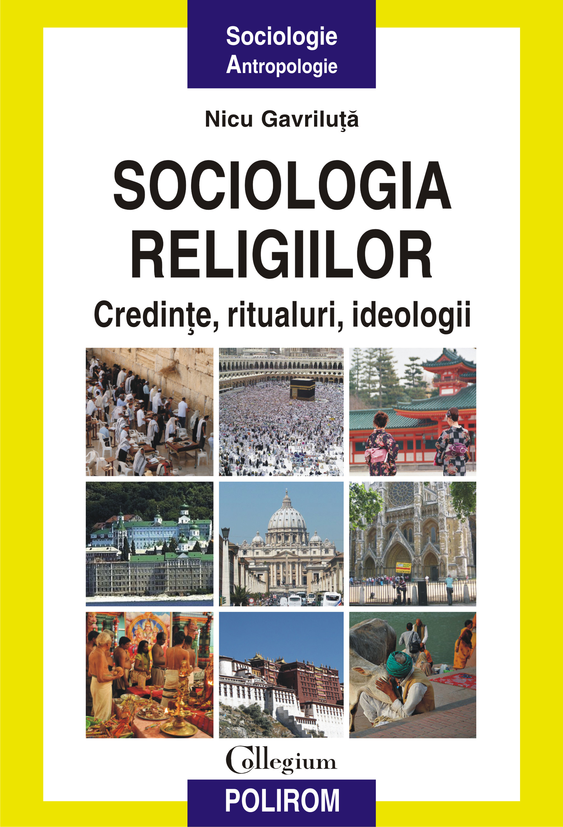 eBook Sociologia religiilor. Credinte, ritualuri, ideologii - Nicu Gavriluta