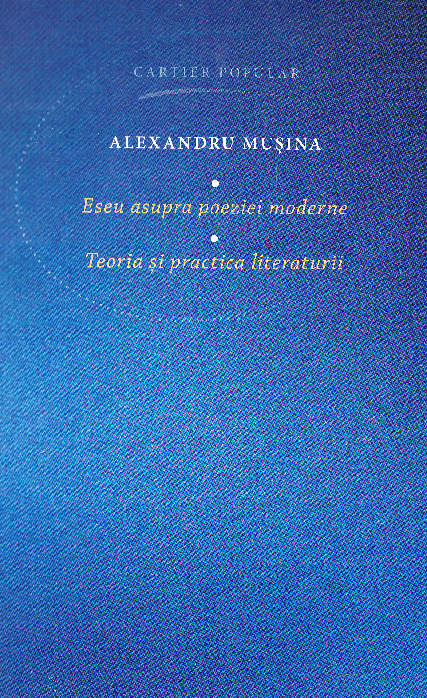 Eseu asupra poeziei moderne. Teoria si practica literaturii - Alexandru Musina