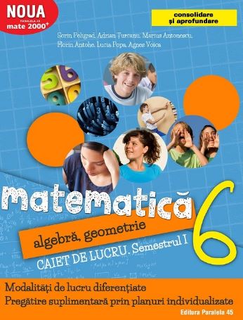 Matematica - Clasa 6. Partea I - Caiet de lucru. Consolidare - Sorin Peligrad, Adrian Turcanu