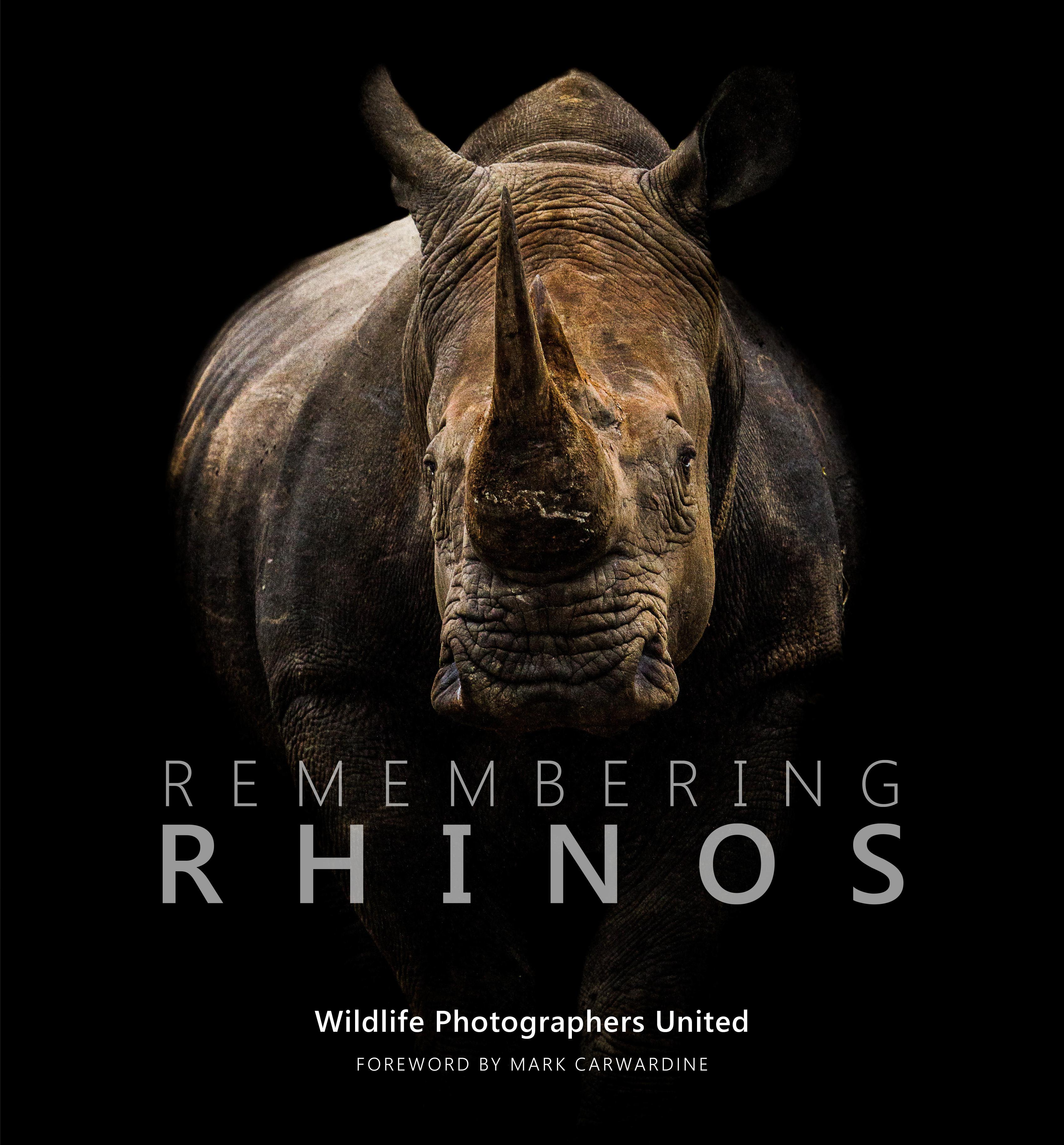 Remembering Rhinos - Margot Raggett