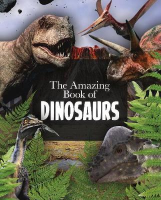 Amazing Book of Dinosaurs - Clare Hibbert