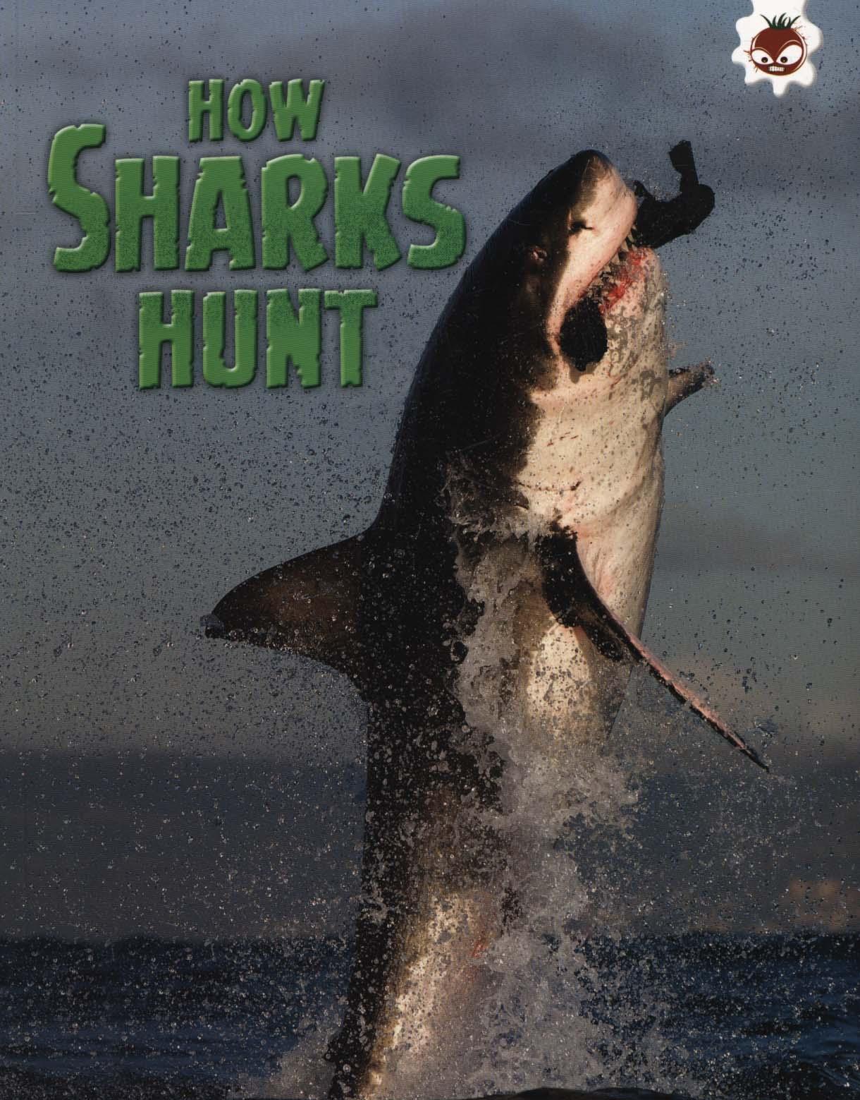 Shark! How Sharks Hunt - Paul Mason