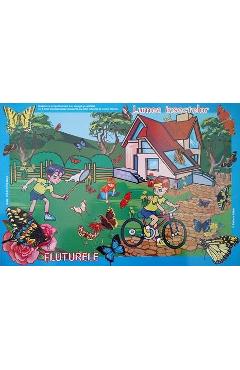 Poza produsului Set cu planse: In lumea insectelor - Gheorghina Micula