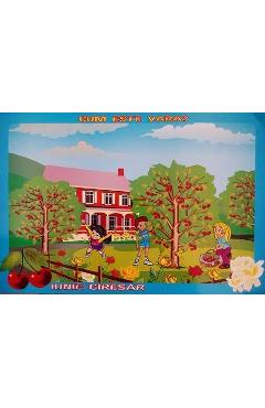 Poza produsului Set cu planse: Cum este vara - Elena Vinulescu