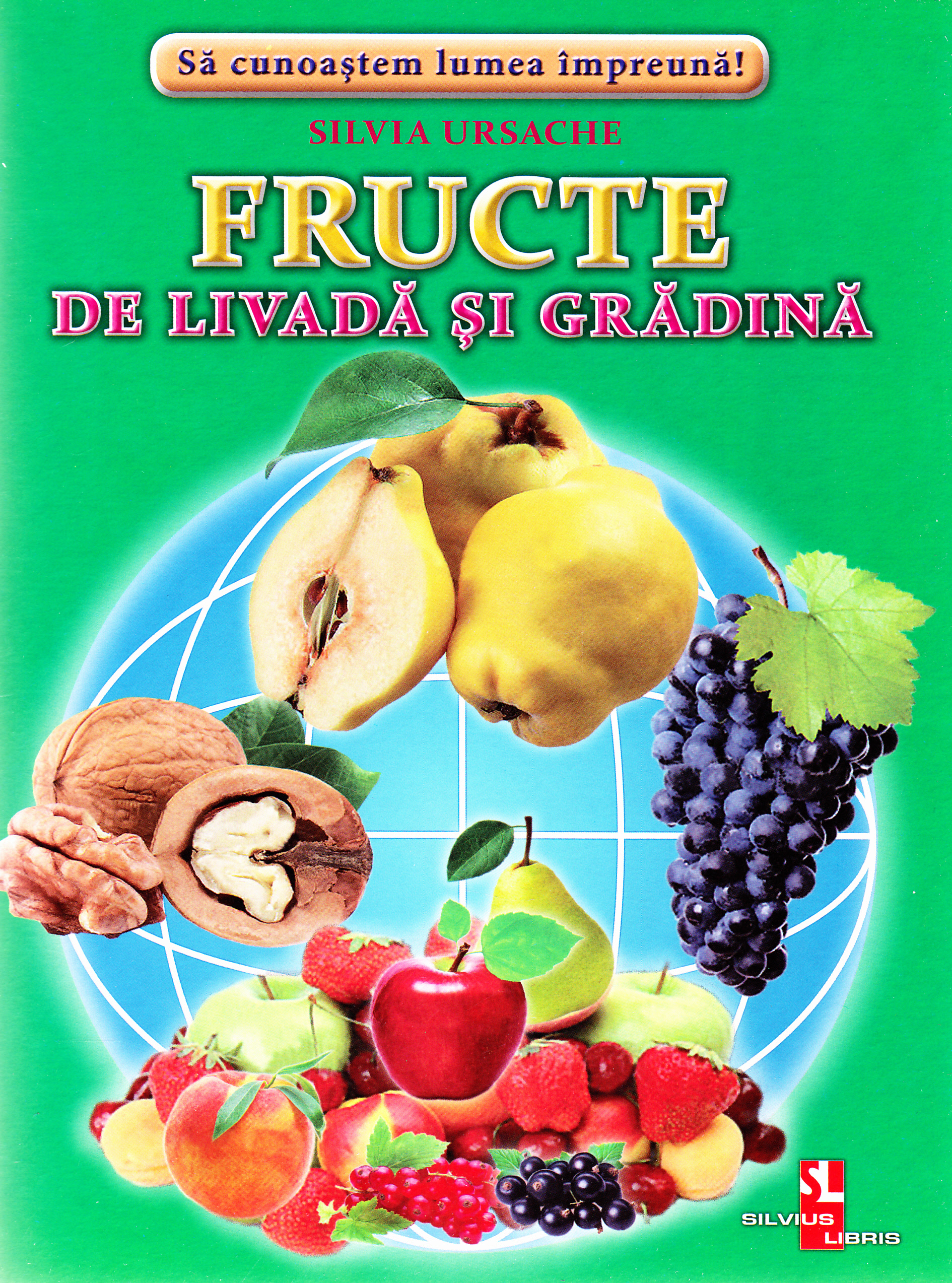 Fructe de livada si gradina - Cartonase - Silvia Ursache