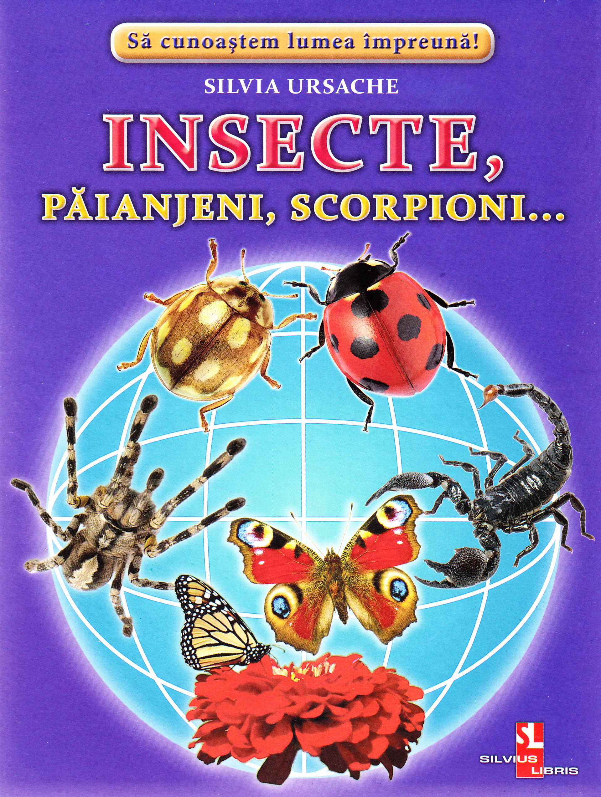 Insecte, Paianjeni, Scorpioni... - Cartonase - Silvia Ursache