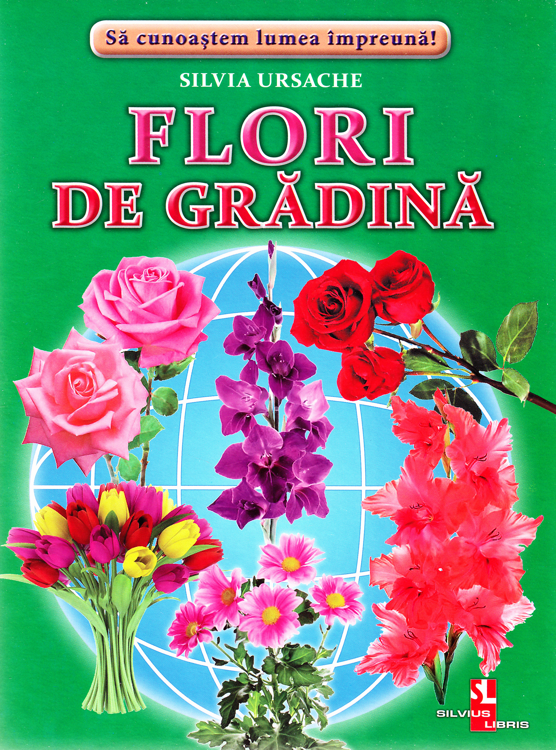 Flori de gradina - Cartonase - Silvia Ursache