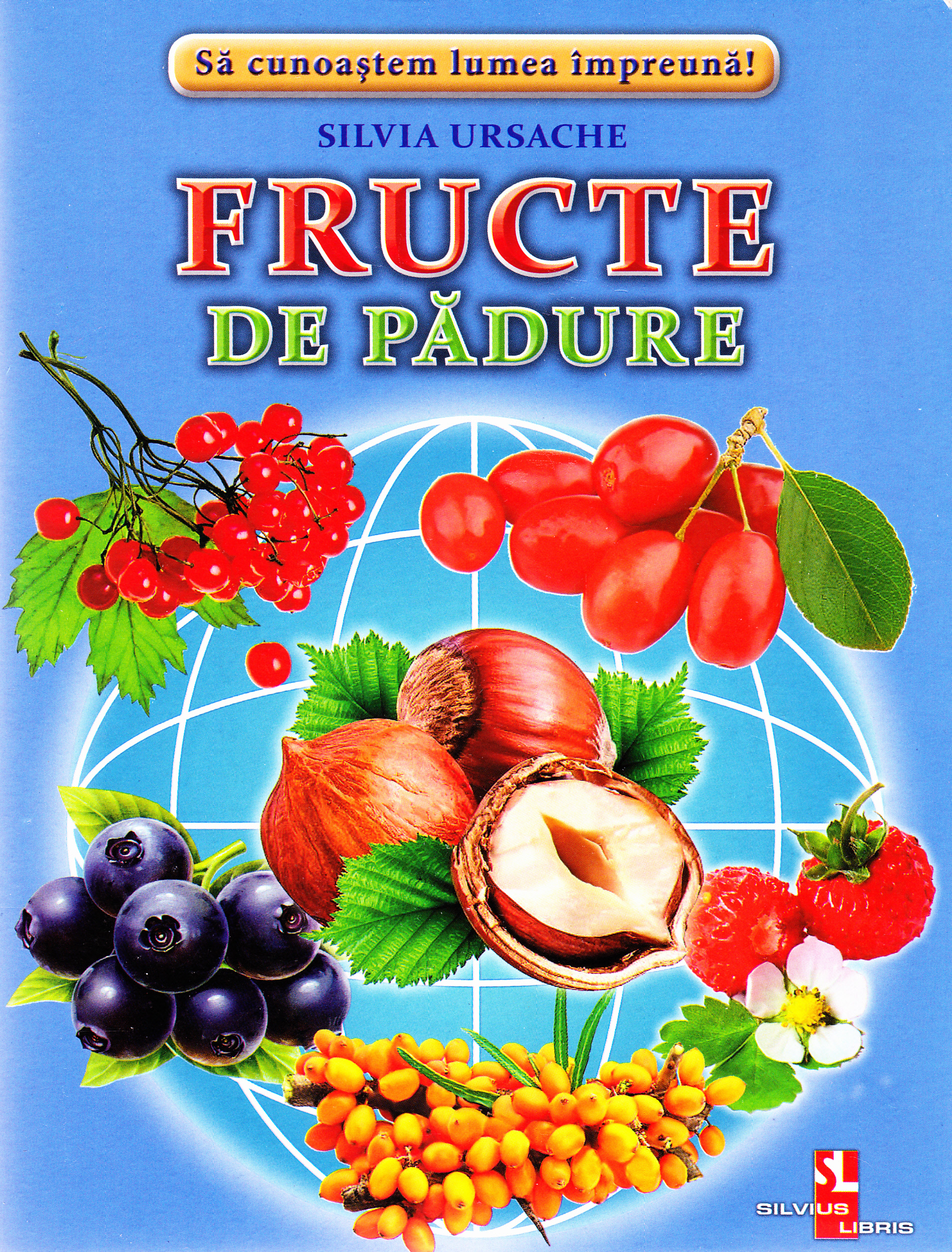 Fructe de padure - Cartonase - Silvia Ursache