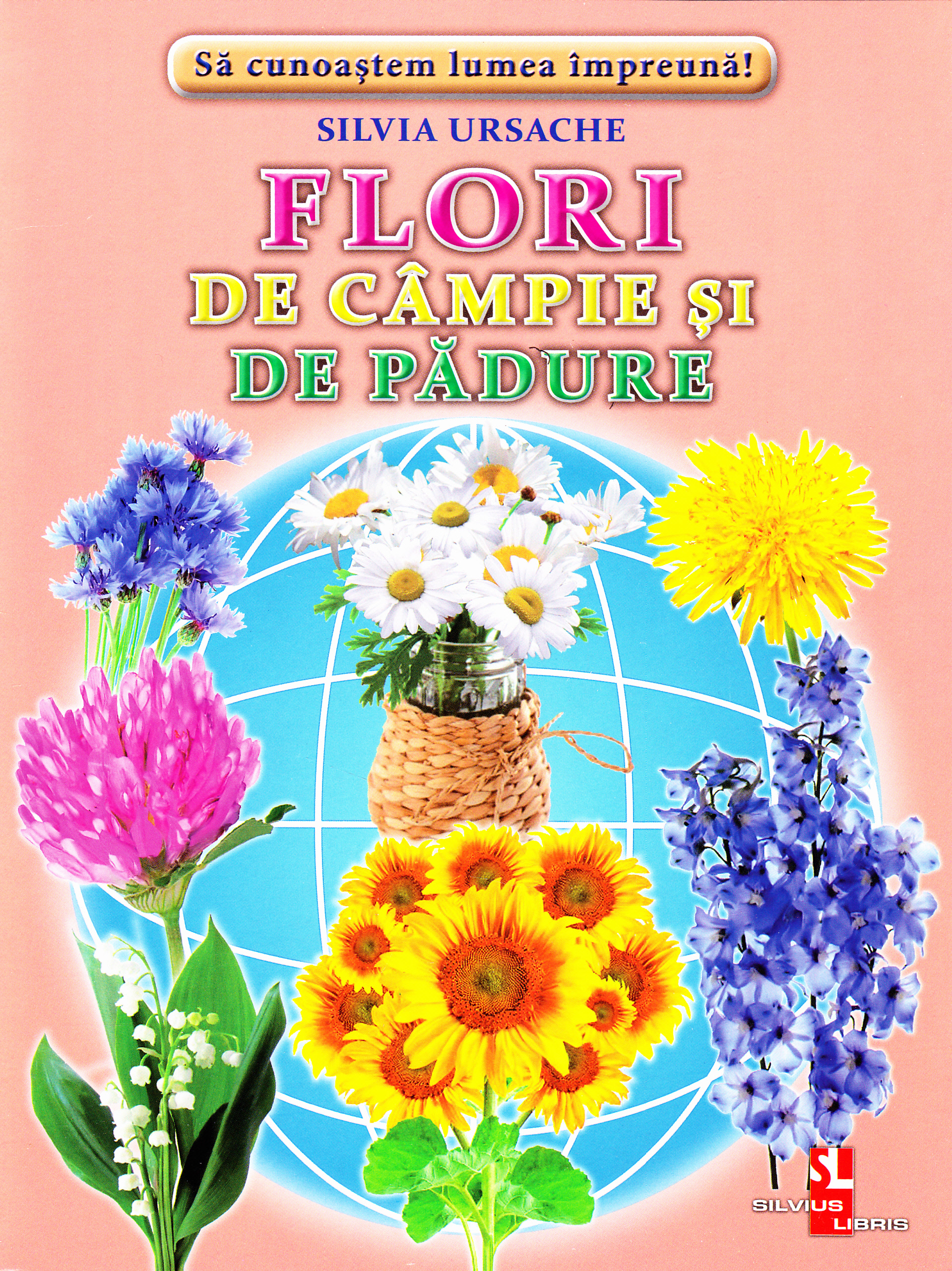 Flori de campie si de padure - Cartonase - Silvia Ursache