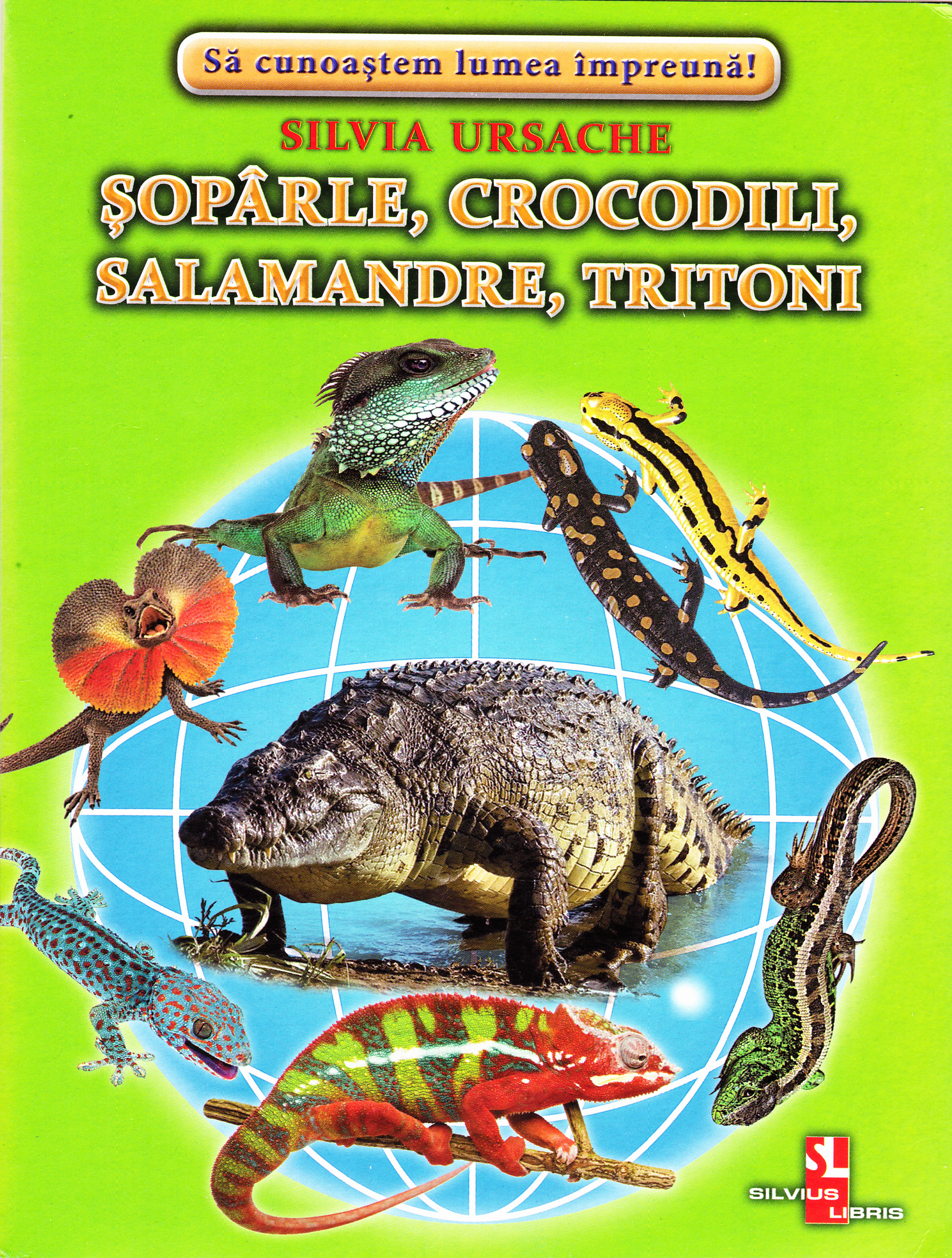 Soparle, crocodili, salamandre, tritoni - Cartonase - Silvia Ursache