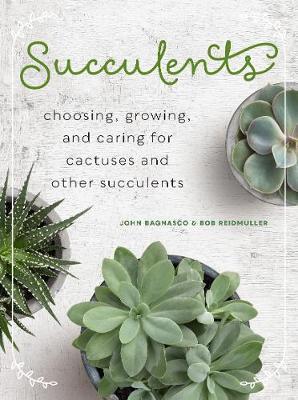 Succulents (mini) - John Bagnasco