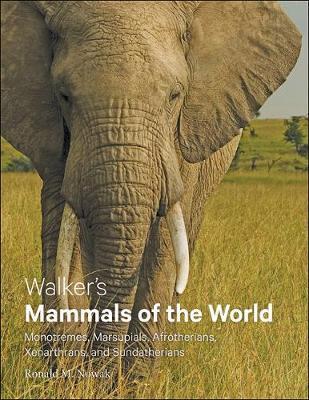Walker's Mammals of the World - Ronald Nowak