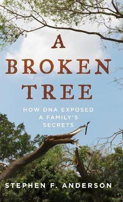 Broken Tree - Stephen Anderson