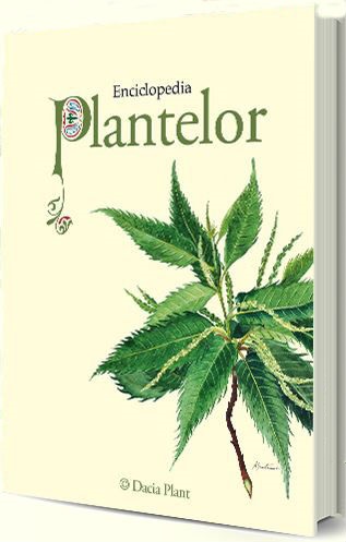 Enciclopedia plantelor