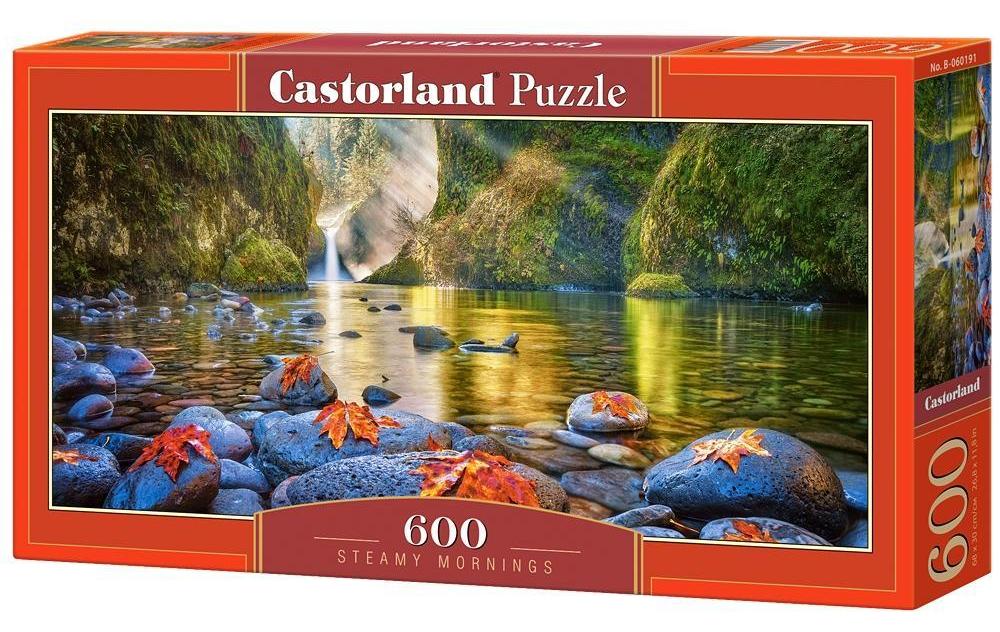 Puzzle 600. Steamy Mornings