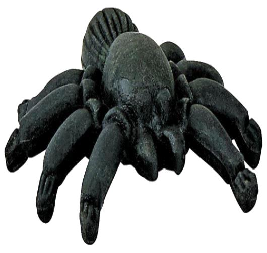 Imaginea produsului 'Radiera Paianjen: Negru'